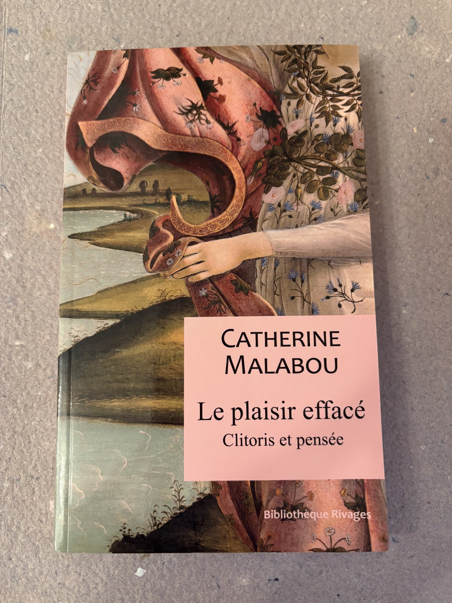 malabou, catherine : le plaisir effacé