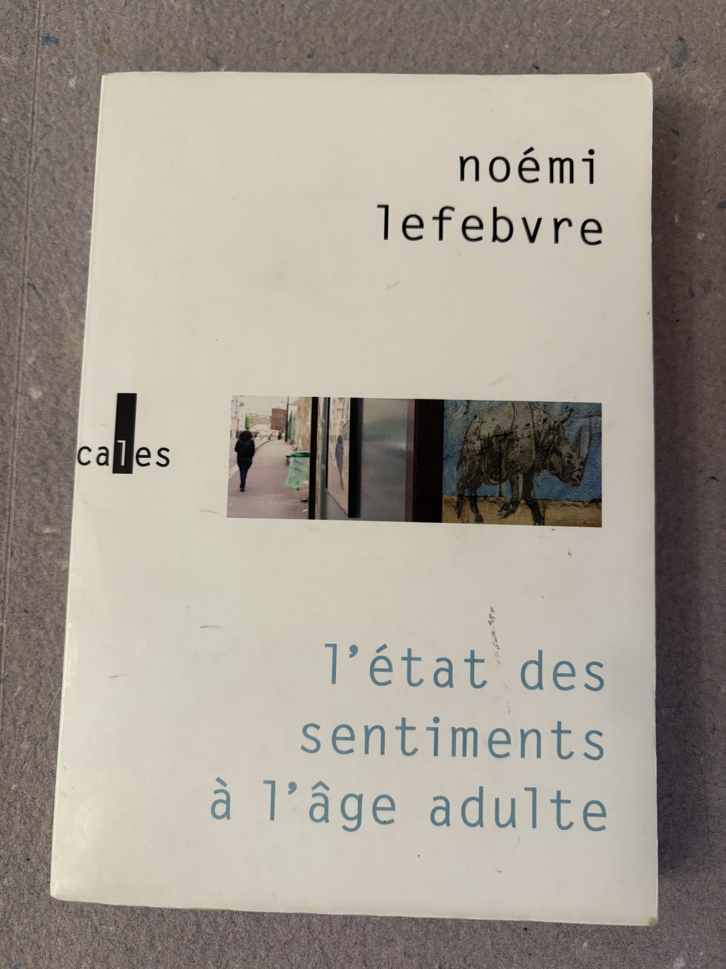 lefebvre, noémi : l'état des sentiments à l'âge adulte