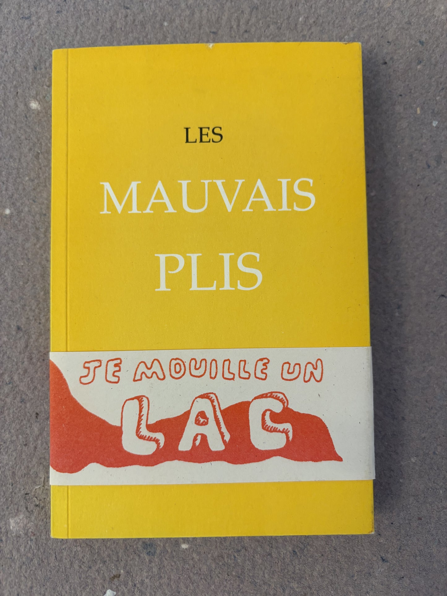 lardeux, anne : les mauvais plis